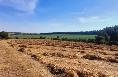 Sitio 5 alqueire em boituva a 4 km da cidade ,rio no  fundo  excelente topografia  foi plantado cana  valor 2.000,000,00