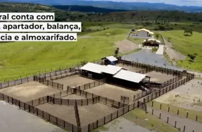 ?fazenda em pirenópolis-goias ? ?238 alqueires goianos   ?sede de luxo ?   ?180 alqueires formados em pasto com 60 divisão , todos com excelente forma de pasto tipo de capim  braquiarão   todos com re