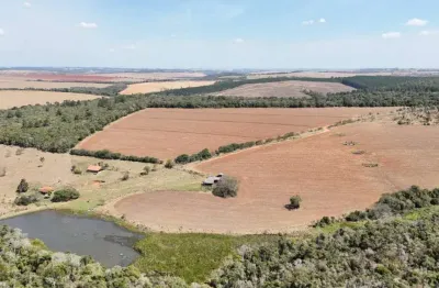 *excelente fazenda a venda em são miguel arcanjo-sp* ??   área total: 181,5 hectares ou 75 alqueires  aproveitamento: 65%   agricultura: 20 alqueires  eucalipto: 18 alqueires    arrendado: eucatex até