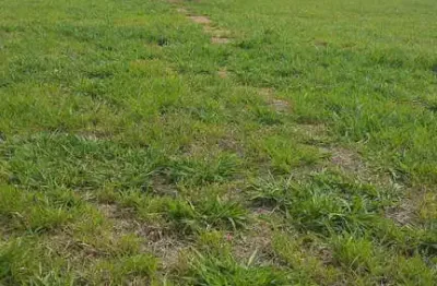 Solar das esmeraldas condomínio fechado terreno 300m2 plano bem localizado no condomínio,portaria 24 horas, quadra gramada, quadra de tênis em saibro,