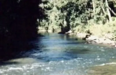 *área de mata atlântica a venda no estado de são paulo* ??    localização: iporanga-sp / vale do ribeira   área total: 808,29 hectares ou 334 alquei