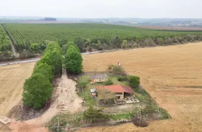 *excelente fazenda a venda na região de itapetininga - sp* ??    área total: 342,7 hectares ou 141,6 alqueires   em plantio: 290,5 hectares ou 120 alqueires   topografia: semi plana a leve declive p/á