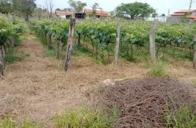 3.200 alqueire 3000 pés de uva,100 de pitaia, represa com peixe,casa 2 quarto,água da sabesp,excelente localização,entre cesario langer e porangaba valor 1.800,000,00