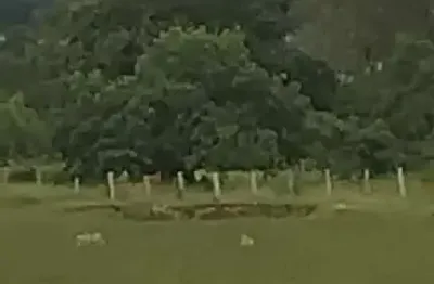 Oportunidade única! Sítio à venda em Cesário Lange-SP: 24.200m² de área. Venha conferir!