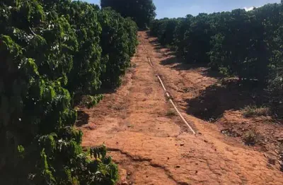 Fazenda de Luxo à Venda em São João da Boa Vista-SP: 5 quartos, 5 suítes, 3 salas, 6 banheiros, 3 vagas de garagem, 1.282.600,00 m² de área.