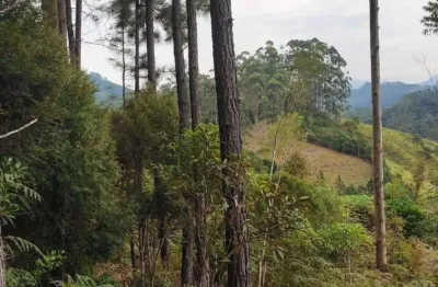 Terreno para venda em são joão batista, são joão batista