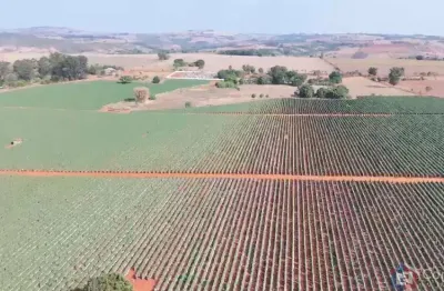 Fazenda à venda em patos de minas – 46 ha, arrendada, com energia e alta rentabilidade