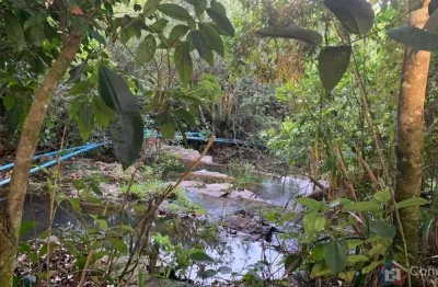 Sítio à venda na comunidade caixetas – guimarânia-mg | 11,9 hectares com casa de 186m² – r$ 700 mil