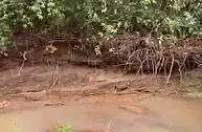 Fazenda à venda em presidente olegário – 58 hectares planos, mecanizáveis e com água