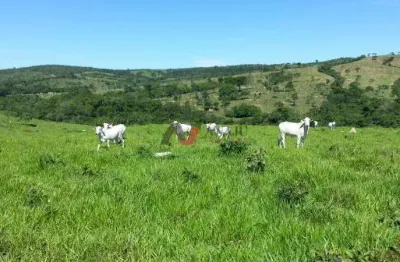 Fazenda à venda na Zona Rural, Nova Aurora 