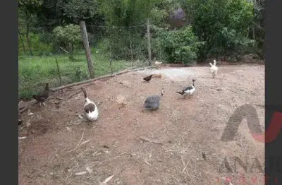 Fazenda à venda no Centro, Tambaú 