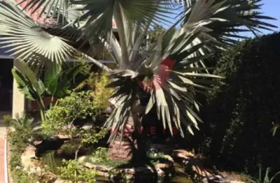 Casa em condomínio fechado com 3 quartos à venda no Centro, Jardinópolis 