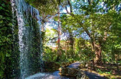 Terreno em condomínio bonfim paulista, bonfim paulista - sp