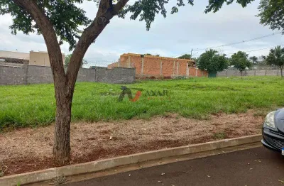Terreno padrão (rua) loteamento santa marta, ribeirão preto - sp