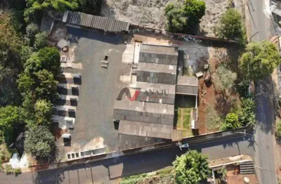 Terreno comercial à venda no Jardim Palma Travassos, Ribeirão Preto 