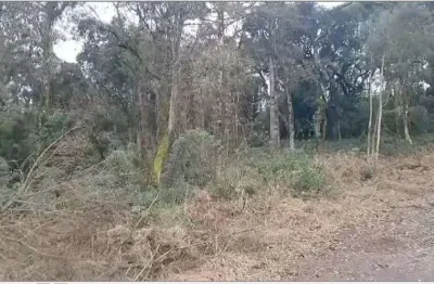 Terreno à venda na Pedras Brancas, Pedras Brancas, São Marcos