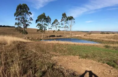 Chácara / sítio à venda na distrito de azulega, centro, cambará do sul por r$ 699.000
