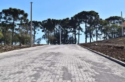 Terreno à venda na Rua General Alexandre Moss Simões Réis, Mariland, Caxias do Sul