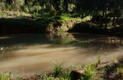 Chácara para venda em  pedras brancas - são marcos - 2 hectares