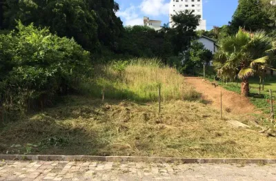 Terreno à venda na Rua Pedro Pezzi, 00, Panazzolo, Caxias do Sul