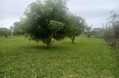 Fazenda à venda no Cadiz, Gravataí 