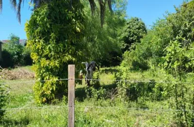 Terreno à venda na Rua Padre Chagas, São Judas Tadeu, Gravataí
