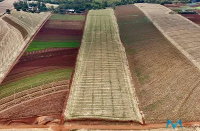 Terreno à venda na Zona Rural, Área Rural de Cambé, Cambé