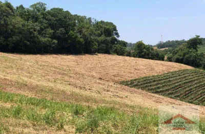 Área à venda, 40000 m² por r$ 2.300.000 - rio acima - jundiaí/sp.
