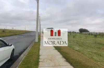 Terreno à venda, 250 m² por r$ 300.000,00 - residencial galo branco - são josé dos campos/sp