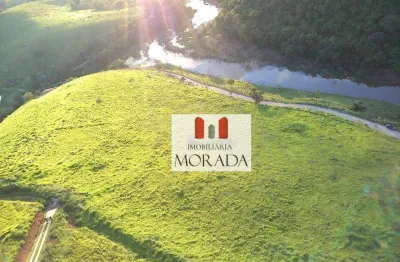 Terreno à venda, 24000 m² por r$ 550.000 - roncador - são josé dos campos/sp