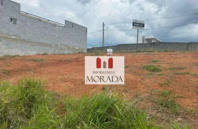 Terreno à venda, 580 m² por r$ 990.000,00 - bairro da floresta - são josé dos campos/sp