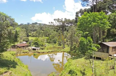 Fazenda à venda, 2651420 m² por r$ 26.600.000 - taquari - campina grande do sul/pr
