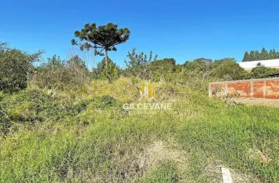 Terreno à venda, 649 m² por r$ 350.000,00 - paloma - colombo/pr