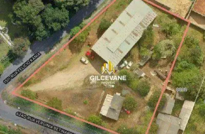 Terreno à venda, 3025 m² por r$ 2.950.000 - são gabriel - colombo/pr