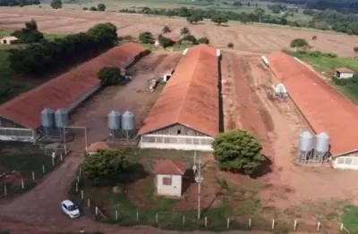 Fazenda à venda na Rodovia Benedito Manuel Da Silva, 290, Zona Rural, Ângulo