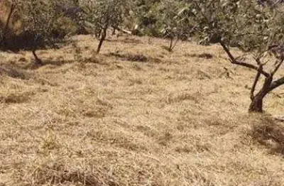 Terreno em ville saint james ii - campo limpo paulista, sp