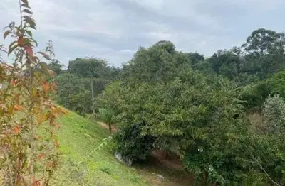 Terreno à venda na Avenida Valter Tozetto Junior - Condomínio Reserva Da Mata, Bosque dos Jacarandás, Jundiaí