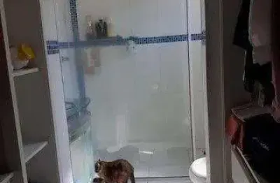 Casa com 3 quartos à venda na Estrada Ipês do Moinho, Moinho, Campo Limpo Paulista