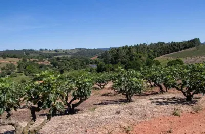 Sítio à venda, 57000 m² por r$ 1.300.000,00 - centro - morungaba/sp