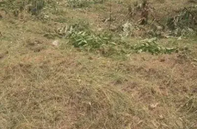 Terreno à venda, 400 m² por r$ 350.000,00 - parque ortolândia - hortolândia/sp
