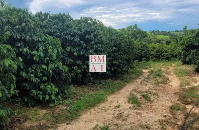 Chácara / sítio com 2 quartos à venda no Centro, Monte Mor 