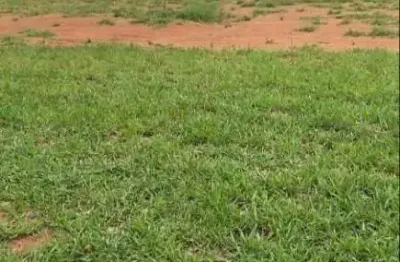 Terreno em condomínio à venda, taquaral - piracicaba/sp