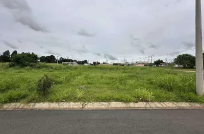 Terreno à venda em Nova Saltinho, Saltinho 