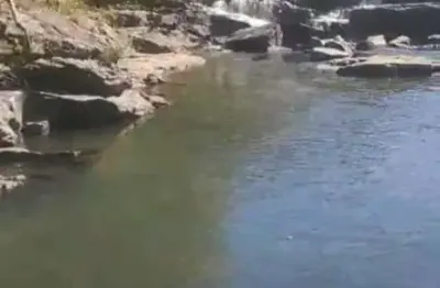 Fazenda para venda em corumbá de goiás, zona  rural, 4 dormitórios, 2 suítes, 2 banheiros, 2 vagas