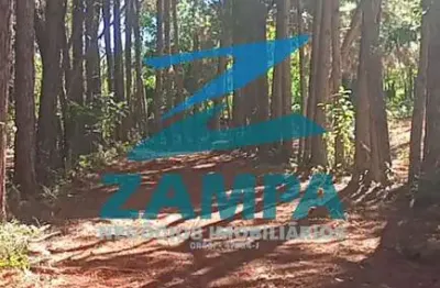 Terreno de 3.500m² sem benfeitorias, com acesso controlado, plano e com muito verde