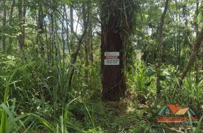 Terreno à venda, 480 m² por r$ 250.000,00 - jardim capricórnio - caraguatatuba/sp