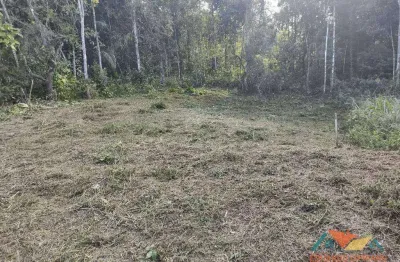 Terreno à venda, 360 m² por r$ 160.000,00 - massaguaçu - caraguatatuba/sp