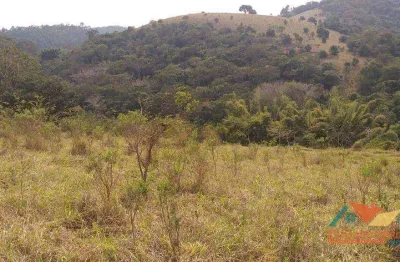 Chácara à venda, 10740 m² por r$ 450.000,00 - zona rural - paraibuna/sp