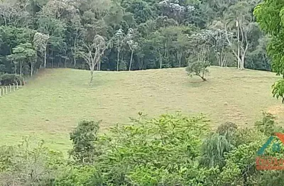 Área à venda, 31000 m² por r$ 330.000,00 - capim da angola - paraibuna/sp