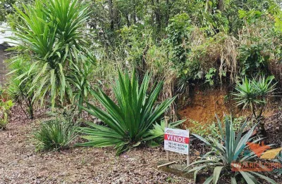 Terreno à venda, 300 m² por r$ 300.000,00 - massaguaçu - caraguatatuba/sp